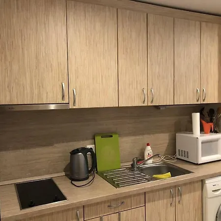 Apartamento For 2-6 Persons 15 Min. To City Center Vilna